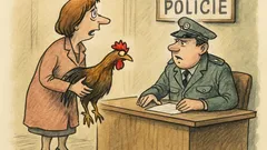 Vtip: Přiběhne paní na policii…