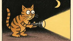 Vtip: Vidí kočka ve tmě?