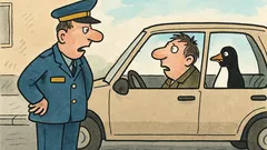 Vtip: Muž potká tučňáka v autě…