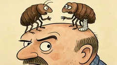 Vtip: Potkaly se dvě blechy…