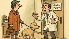 Vtip: Přijde paní se psem k doktorovi